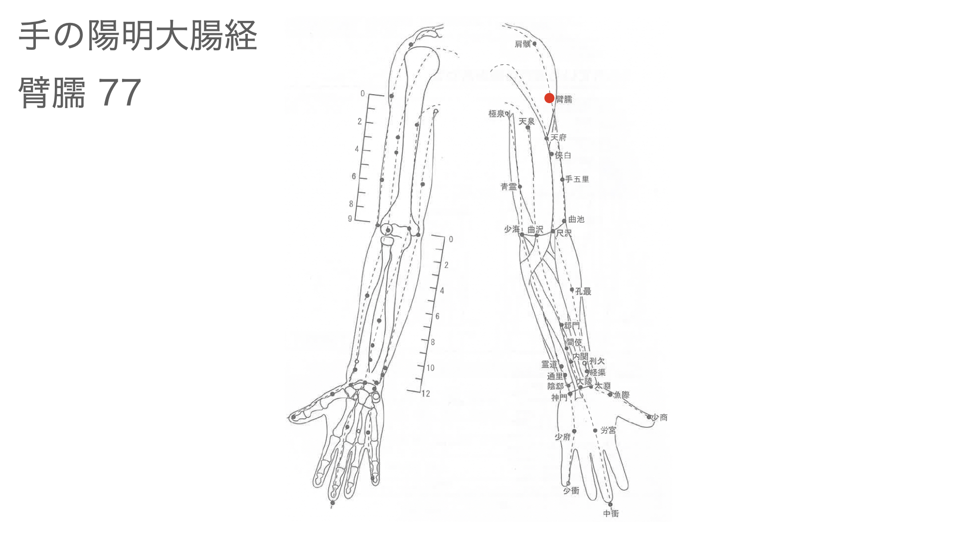 臂臑(ひじゅ)ツボ ALL FOR ONE.